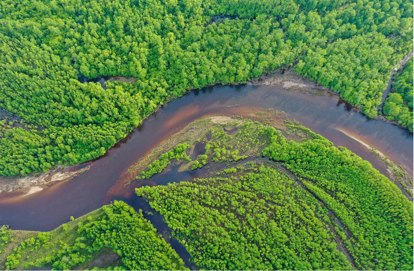 无人机湿地生态环境遥感监测